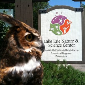 Birds of Lake Erie Day