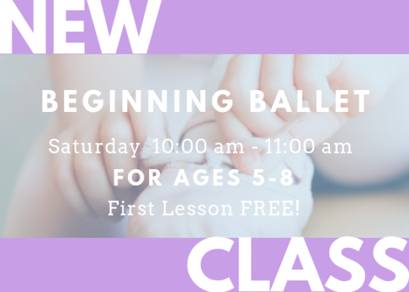 Gallery 1 - Beginning Ballet Class (Ages 5-8)