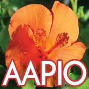 American Asian Pacific Islander Organization