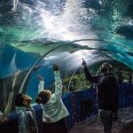 Gallery 2 - Winter Discount Weekend at Greater Cleveland Aquarium