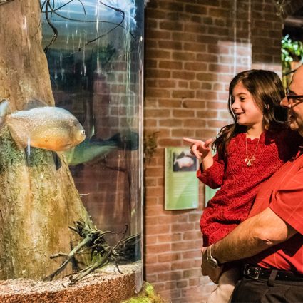 Gallery 5 - Winter Discount Weekend at Greater Cleveland Aquarium