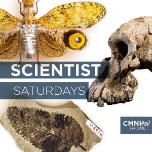 Scientist Saturday