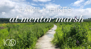 Family Hikes At Mentor Marsh: Weekend Unwinding