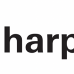 Harpo Foundation 2024 Visual Artists Grant