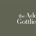 2024 Individual Support Grant | The Gottlieb Foundation