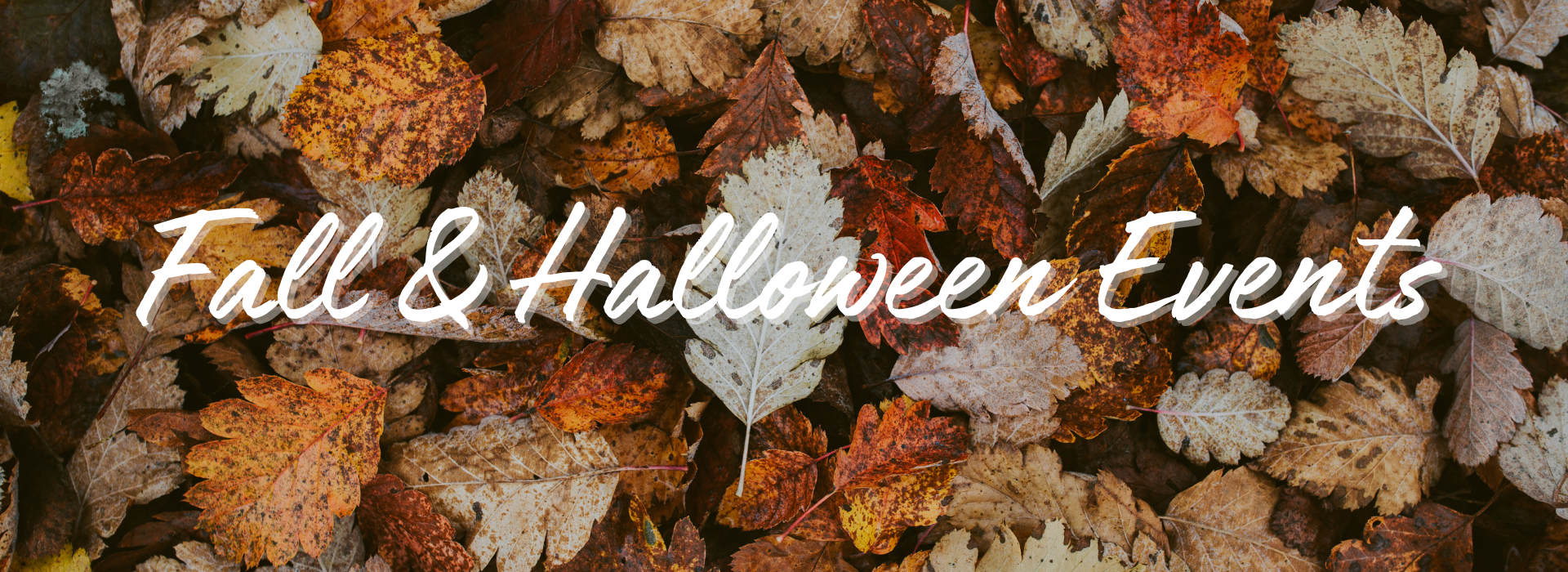 Fall & Halloween Events