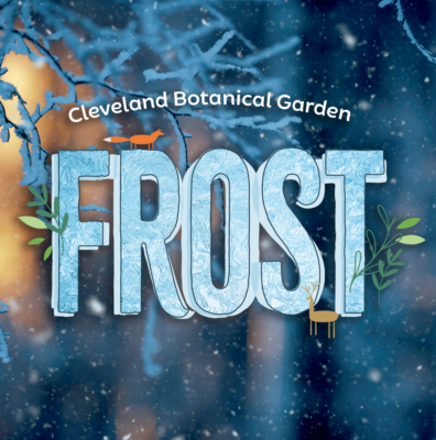 FROST: An Ice-Capped Garden Experience