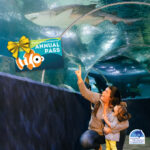Holiday Annual Pass Sale @CLEAquarium