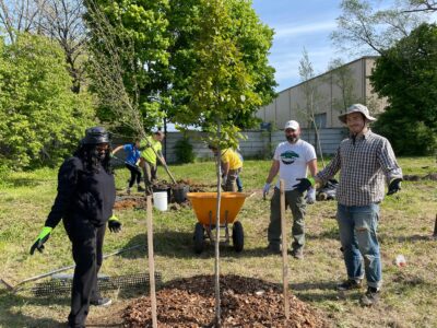 Tree Steward Training Series 2024