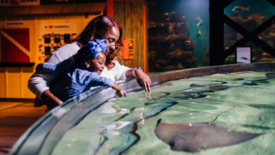 Mother’s Day @CLEAquarium