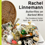 Rachel Linnemann: "Butterflies on Barbed Wire"